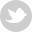 seguimi su twitter